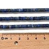 Natural Lapis Lazuli Beads Strands G-P575-B45-4x2mm-5