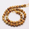 Natural Picture Jasper Beads Strands G-G542-10mm-08-2