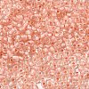 12/0 Transparent Glass Seed Beads SEED-F003-03C-15-3