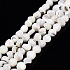 Natural Trochid Shell/Trochus Shell Beads Strands SSHEL-N032-48-2