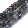 Natural Indian Agate Beads Strands G-F596-31-1