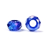 Transparent Glass European Beads GPDL-N005-D14mm-A14-2
