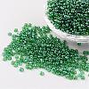 Round 8/0 Glass Seed Beads X-SEED-A006-3mm-107-1