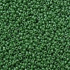 MIYUKI Round Rocailles Beads SEED-X0054-RR0431-3