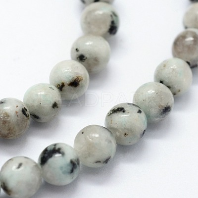 Natural Sesame Jasper/Kiwi Jasper Beads Strands X-G-I199-29-8mm-1