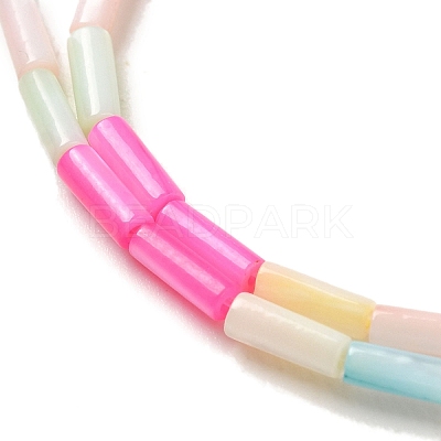 Rainbow Color Dyed Natural Freshwater Shell Beads Strands SHEL-G018-02A-1