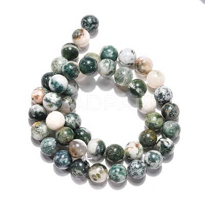 Natural Tree Agate Beads Strands G-H1633-8MM-1