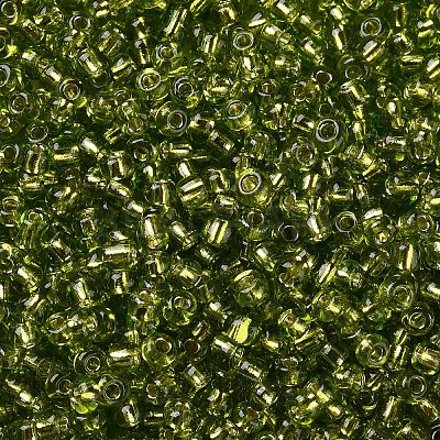 8/0 Glass Seed Beads X2-SEED-A005-3mm-24-1