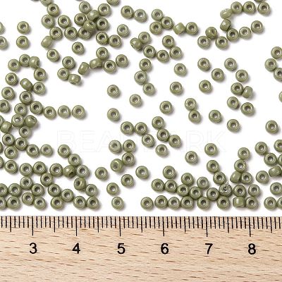 MIYUKI Round Rocailles Beads SEED-X0055-RR4474-1