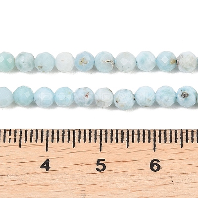 Natural Larimar Beads Strands G-B175-D08-4mm-1
