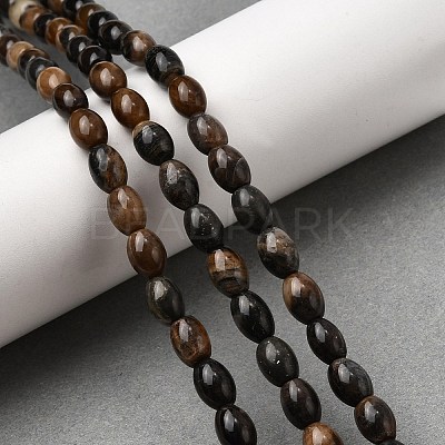 Natural Petrified Wood Beads Strands G-K362-I11-02-1