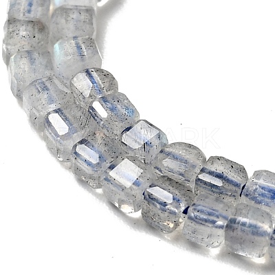 Natural Labradorite Beads Strands G-D470-07-1
