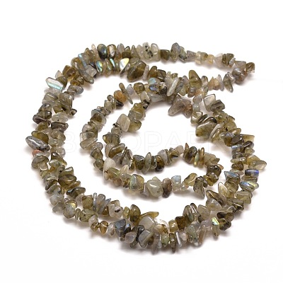 Natural Labradorite Chip Bead Strands G-M205-13-1