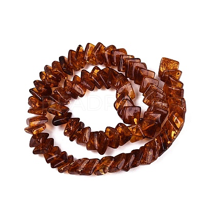 Natural Amber Beads Strands G-N371-12A-02-1