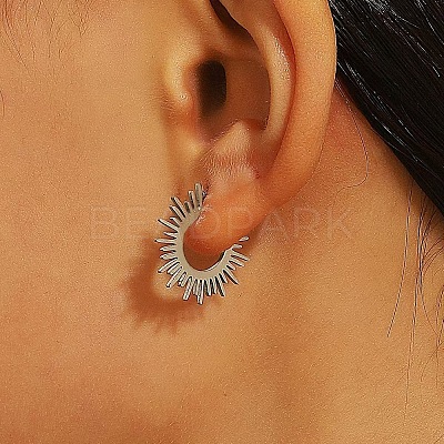 304 Stainless Steel and Brass Hoop Earrings FS-WG82045-28-1