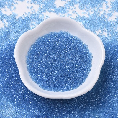 MIYUKI Delica Beads SEED-X0054-DB0113-1