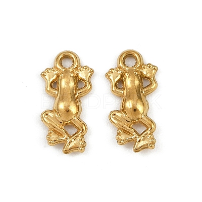 304 Stainless Steel Charms STAS-F317-12G-1