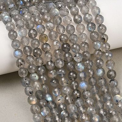 Natural Labradorite Beads Strands G-O176-04B-1