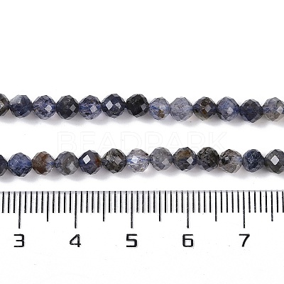 Natural Iolite Beads Strands X-G-G139-A11-03-1