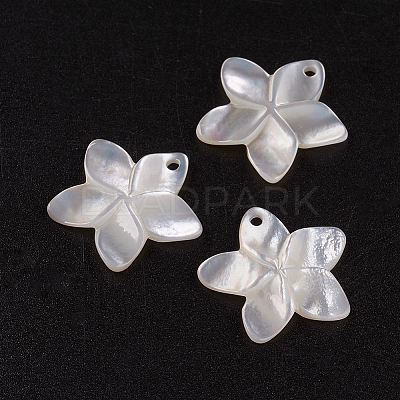 Natural White Shell Mother of Pearl Shell Pendants X-SSHEL-G014-60-1