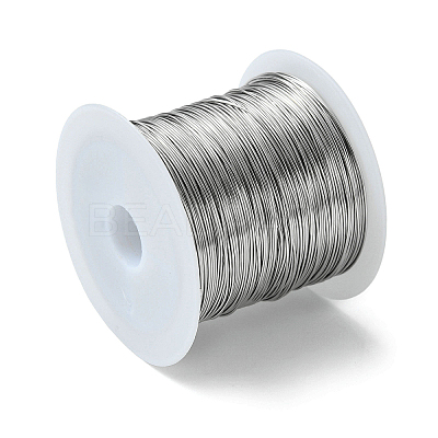Non-Tarnish 316 Stainless Steel Wire TWIR-L004-01C-P-1