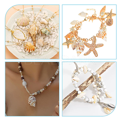 5 Styles Shell Beads SHEL-FH0001-23-1