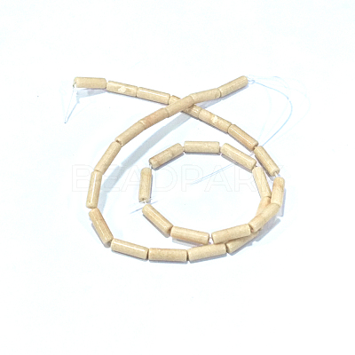 Natural Petrified Wood Beads Strands G-F247-49-1
