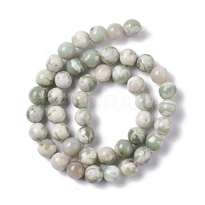 Natural Peace Jade Beads Strands G-G905-07-1