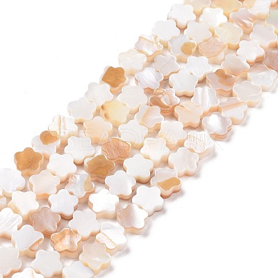 Natural Freshwater Shell Beads Strands SHEL-H002-03G-1