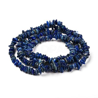 Natural Lapis Lazuli Chip Bead Strands X-G-M205-14-1