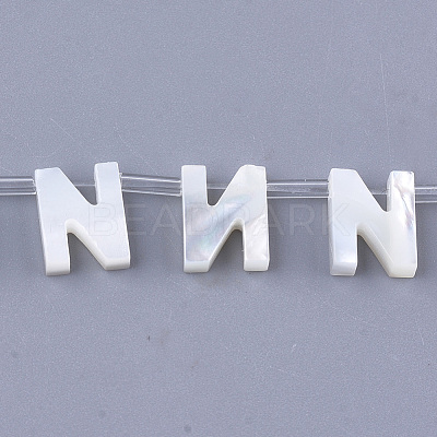 Natural Sea Shell Beads SHEL-T012-60N-1