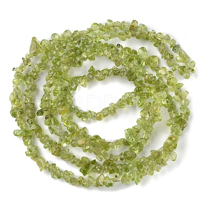 Natural Peridot Beads Strands G-G0003-B27-1