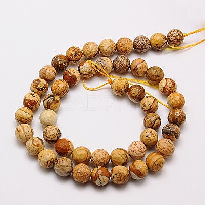 Natural Picture Jasper Beads Strands G-G542-10mm-08-1