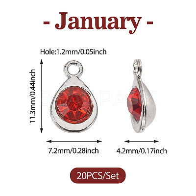 20Pcs Faceted Glass Charms RGLA-TADJ0001-01C-1