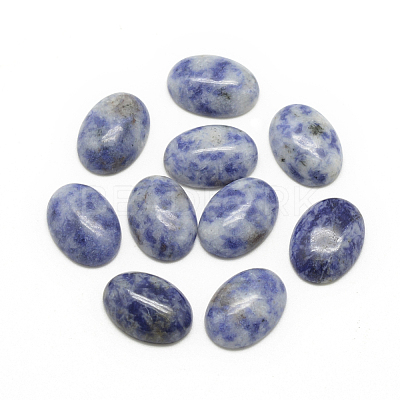 Natural Blue Spot Jasper Cabochons G-R415-14x10-45-1