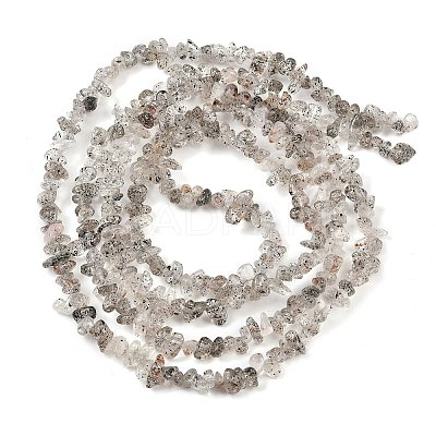 Natural Black Strawberry Quartz Chip Beads Strands G-B160-A03-1
