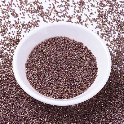 MIYUKI Delica Beads Small SEED-JP0008-DBS1013-1