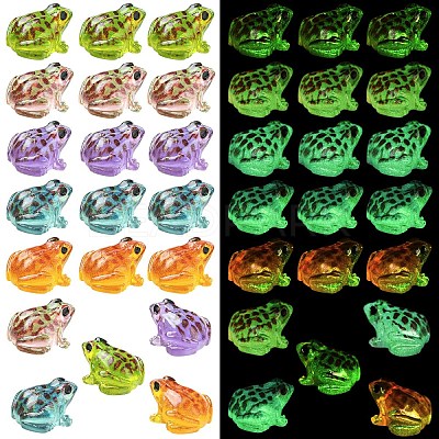 Luminous Resin Frog Micro Landscape Scene Ornaments DIY-YWC0009-03A-1