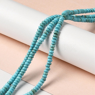 Natural Howlite Beads Strands G-C025-09C-1