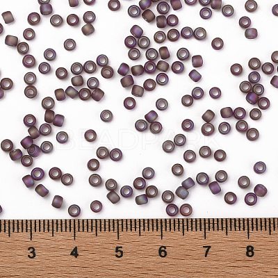 TOHO Round Seed Beads SEED-JPTR08-0166BF-1