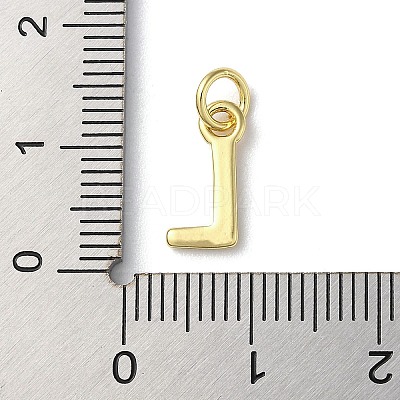Rack Plating Brass Charms KK-P245-06G-L-1