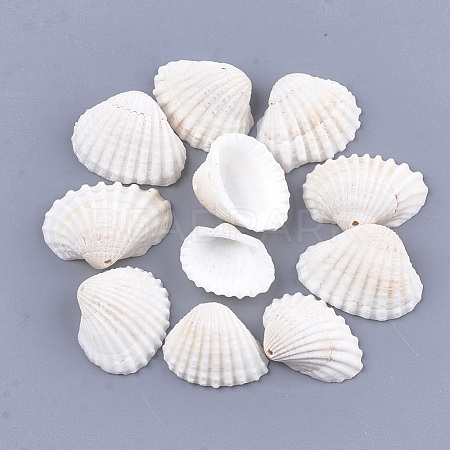 Clam Shell Pendants SSHEL-S258-60-1