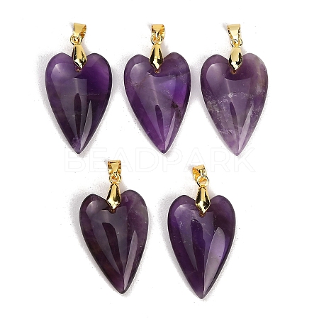 Natural Amethyst Pendants G-E570-01G-05-1