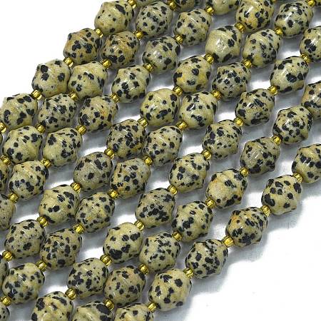 Natural Dalmatian Jasper Beads Strands G-K389-D16-01-1