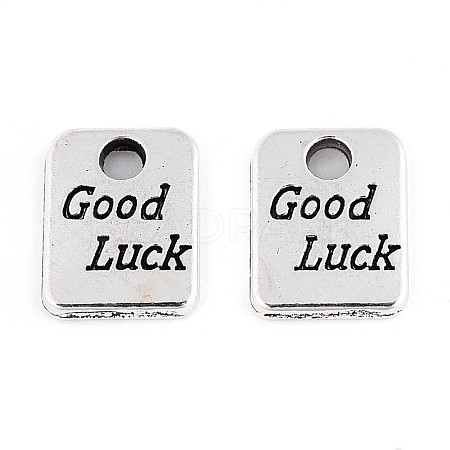 Tibetan Style Alloy Charms TIBE-N013-03AS-1