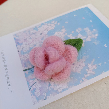 Handmade Wool Felt Woven Costume Accessories PW-WG11575-03-1