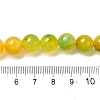 Natural Dyed White Jade Beads Strands G-M402-C04-15-4