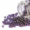 TOHO Round Seed Beads SEED-JPTR11-0325-2