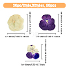 HOBBIESAY 120pcs 3 Style Dried Pansy Flower DIY-HY0001-62-2