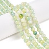 Dyed Natural White Jade Beads Strands G-T138-6mm-210-21-1